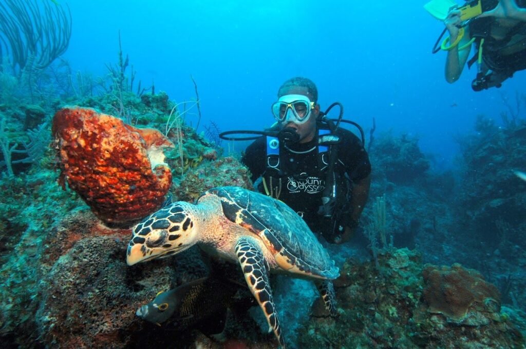 Scuba Diving photo 6